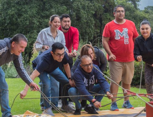 ¿Qué es un Team Building?